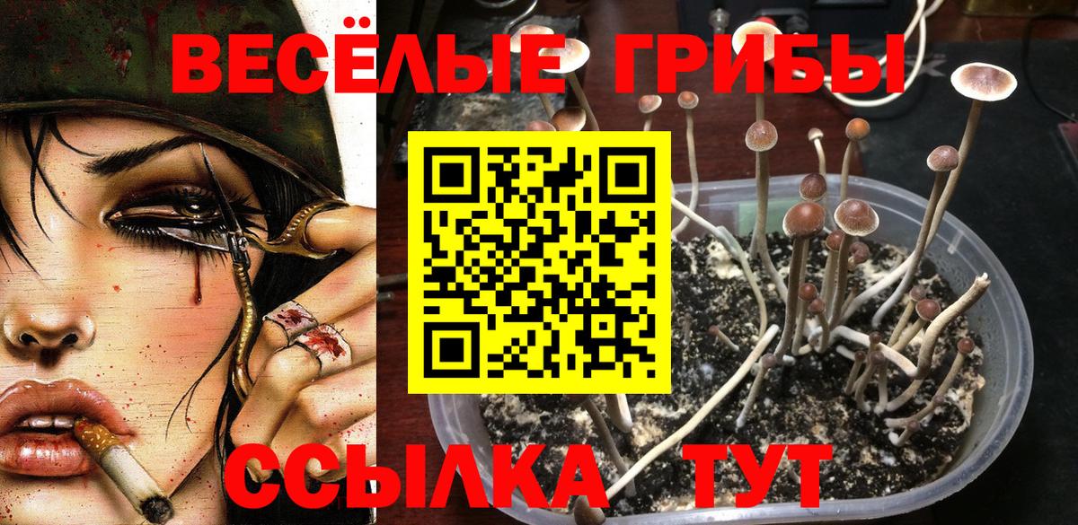 Галлюциногенные грибы GOLDEN TEACHER  Вход с VPN  купить  сайты  Нижнекамск  Галлюциногенные грибы мицелий 