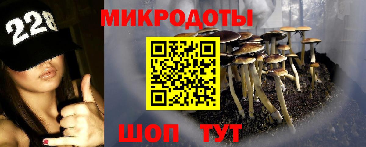 Псилоцибиновые грибы мицелий Нижнекамск